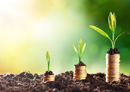 n-gage equity scheme